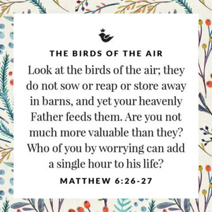 Sterling Silver Sweet Sparrow Earrings | Matthew 6:26-27