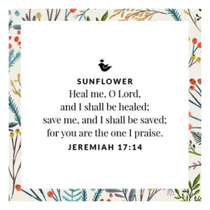Sterling Silver Healing Sunflower Link Bracelet | Jeremiah 17:14